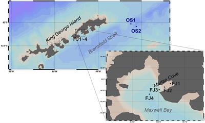 Molecular-Level Chemical Characterization of Dissolved Organic Matter in the Ice Shelf Systems of King George Island, Antarctica